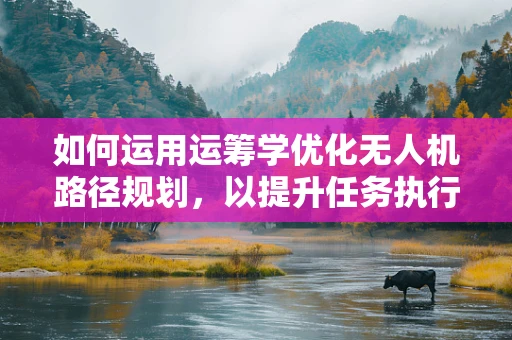 如何运用运筹学优化无人机路径规划，以提升任务执行效率？