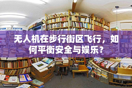 无人机在步行街区飞行，如何平衡安全与娱乐？