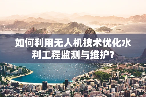 如何利用无人机技术优化水利工程监测与维护？