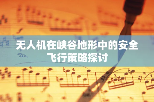 无人机在峡谷地形中的安全飞行策略探讨