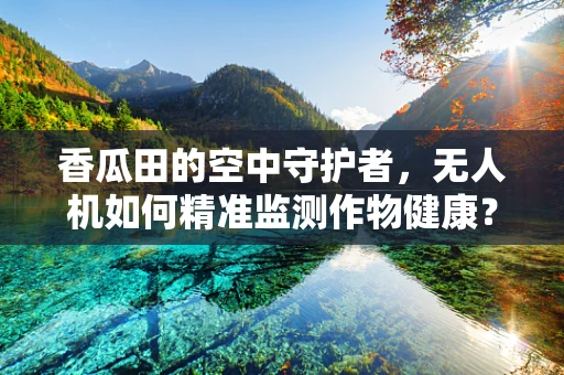 香瓜田的空中守护者，无人机如何精准监测作物健康？