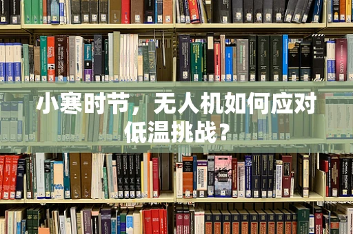 小寒时节，无人机如何应对低温挑战？