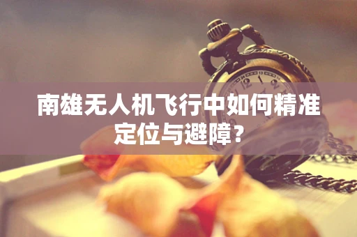 南雄无人机飞行中如何精准定位与避障？
