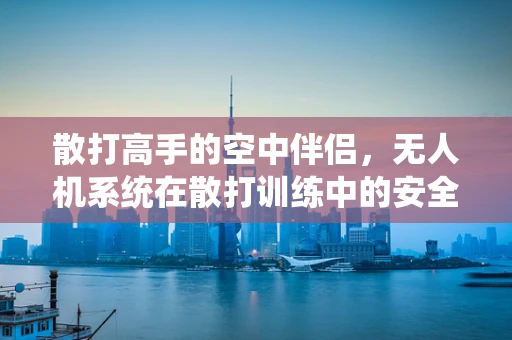散打高手的空中伴侣，无人机系统在散打训练中的安全操控挑战