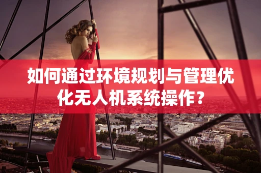 如何通过环境规划与管理优化无人机系统操作？