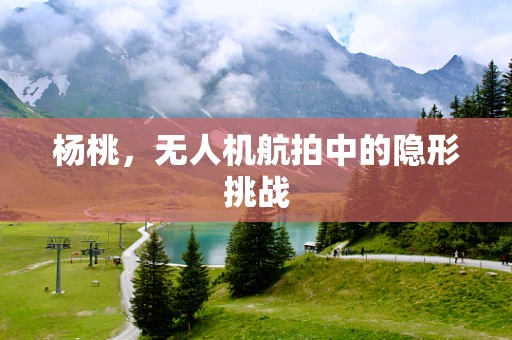 杨桃，无人机航拍中的隐形挑战