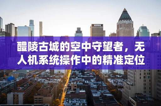 醴陵古城的空中守望者，无人机系统操作中的精准定位挑战