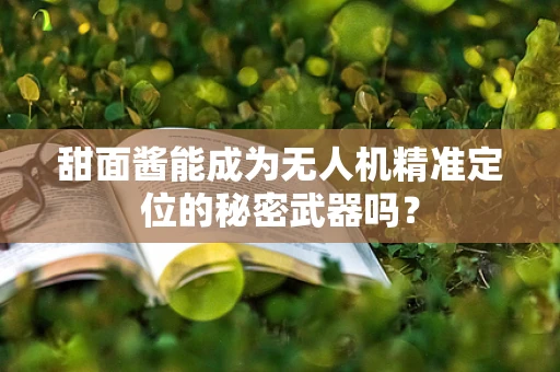 甜面酱能成为无人机精准定位的秘密武器吗？