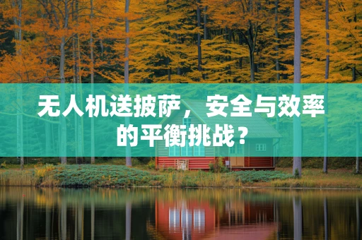 无人机送披萨，安全与效率的平衡挑战？