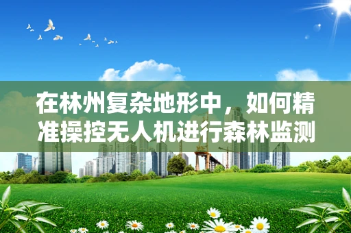 在林州复杂地形中，如何精准操控无人机进行森林监测？
