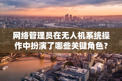 网络管理员在无人机系统操作中扮演了哪些关键角色？