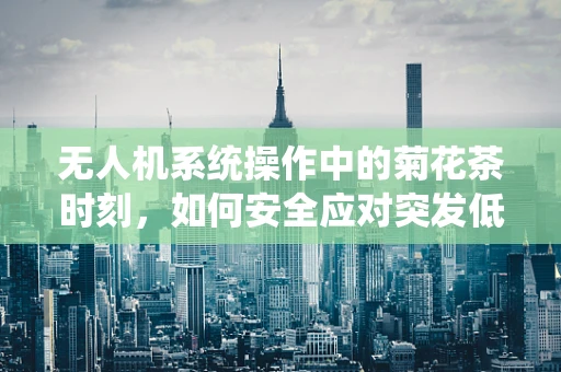 无人机系统操作中的菊花茶时刻，如何安全应对突发低电量状况？