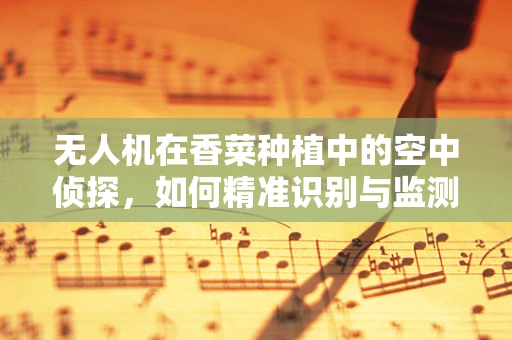 无人机在香菜种植中的空中侦探，如何精准识别与监测？