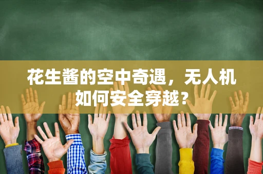 花生酱的空中奇遇，无人机如何安全穿越？