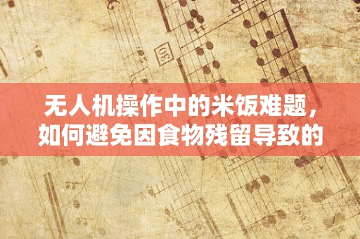 无人机操作中的米饭难题，如何避免因食物残留导致的设备故障？