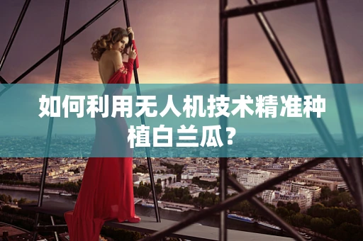 如何利用无人机技术精准种植白兰瓜？