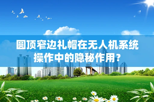 圆顶窄边礼帽在无人机系统操作中的隐秘作用？