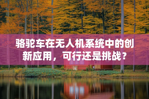 骆驼车在无人机系统中的创新应用，可行还是挑战？