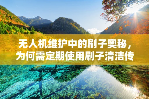 无人机维护中的刷子奥秘，为何需定期使用刷子清洁传感器？