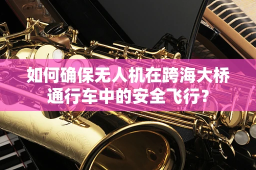 如何确保无人机在跨海大桥通行车中的安全飞行？