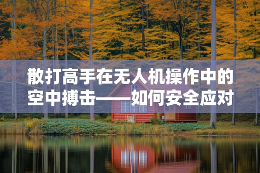 散打高手在无人机操作中的空中搏击——如何安全应对突发状况？