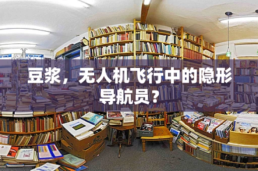 豆浆，无人机飞行中的隐形导航员？