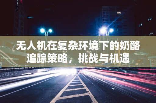 无人机在复杂环境下的奶酪追踪策略，挑战与机遇
