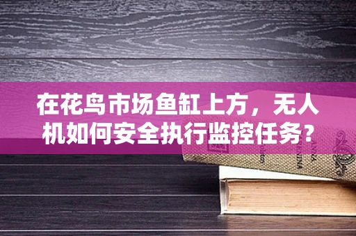 在花鸟市场鱼缸上方，无人机如何安全执行监控任务？