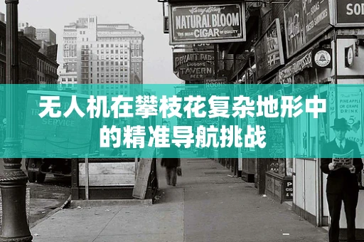 无人机在攀枝花复杂地形中的精准导航挑战