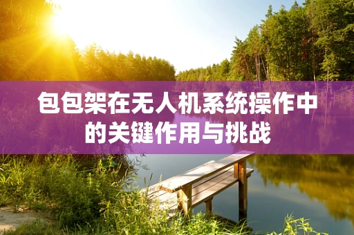 包包架在无人机系统操作中的关键作用与挑战