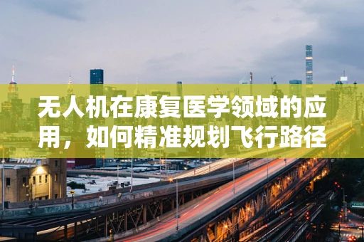 无人机在康复医学领域的应用，如何精准规划飞行路径以优化治疗效率？