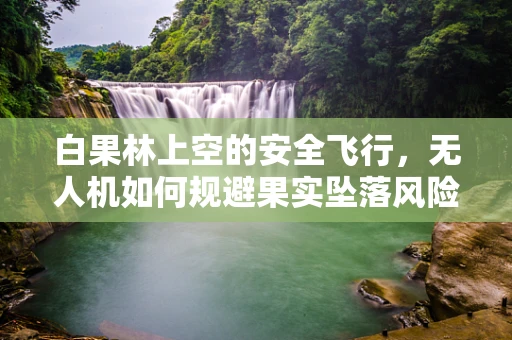 白果林上空的安全飞行，无人机如何规避果实坠落风险？
