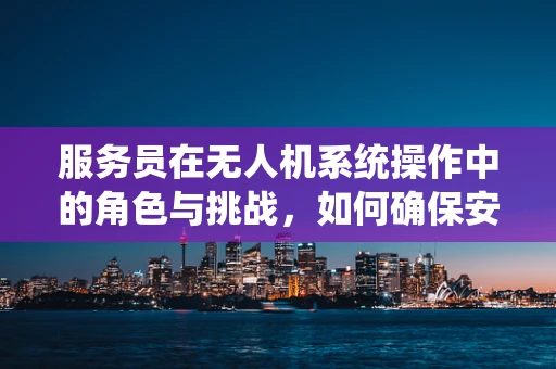 服务员在无人机系统操作中的角色与挑战，如何确保安全与效率的平衡？