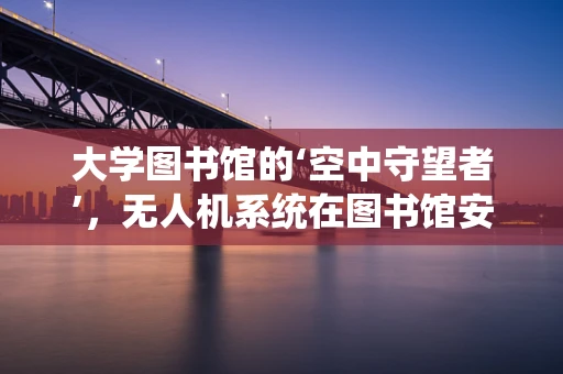 大学图书馆的‘空中守望者’，无人机系统在图书馆安全监控中的应用与挑战