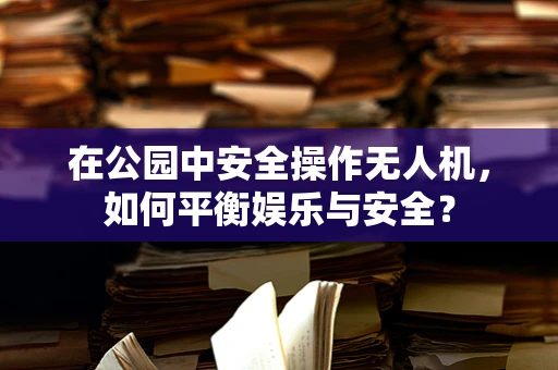 在公园中安全操作无人机，如何平衡娱乐与安全？