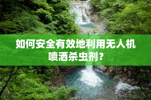 如何安全有效地利用无人机喷洒杀虫剂？