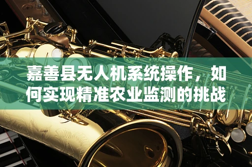 嘉善县无人机系统操作，如何实现精准农业监测的挑战与对策？