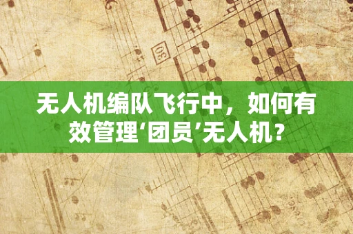无人机编队飞行中，如何有效管理‘团员’无人机？