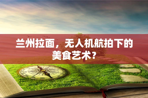 兰州拉面，无人机航拍下的美食艺术？