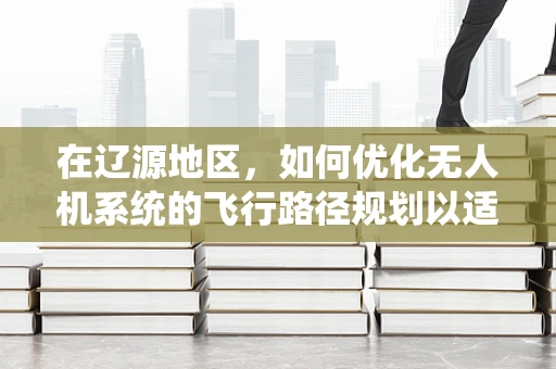在辽源地区，如何优化无人机系统的飞行路径规划以适应复杂地形？