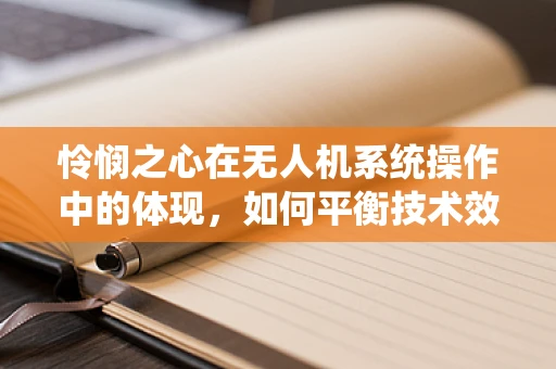 怜悯之心在无人机系统操作中的体现，如何平衡技术效率与人文关怀？