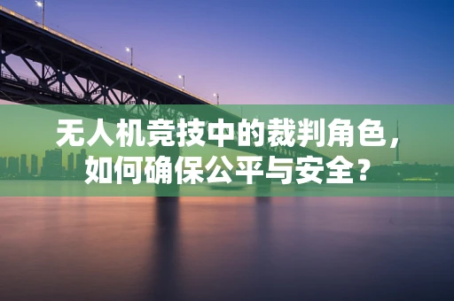 无人机竞技中的裁判角色，如何确保公平与安全？