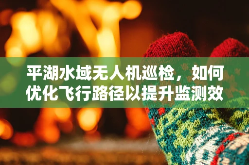 平湖水域无人机巡检，如何优化飞行路径以提升监测效率？