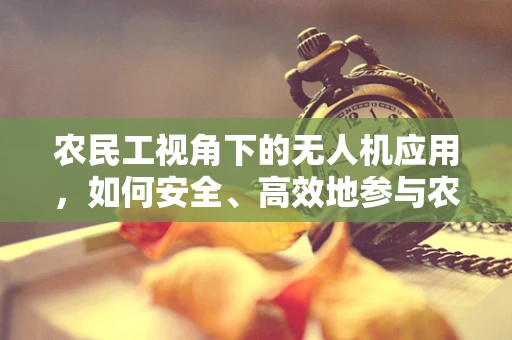 农民工视角下的无人机应用，如何安全、高效地参与农业监测？