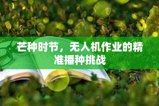 芒种时节，无人机作业的精准播种挑战