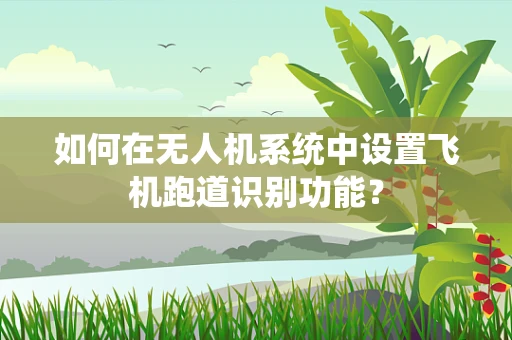 如何在无人机系统中设置飞机跑道识别功能？