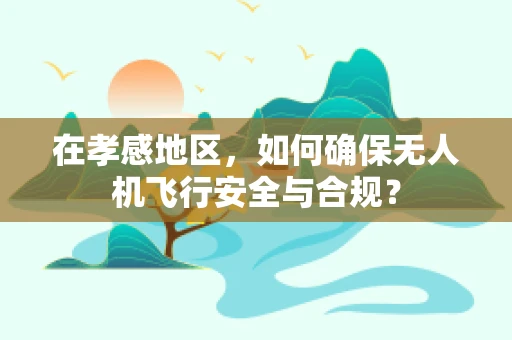 在孝感地区，如何确保无人机飞行安全与合规？