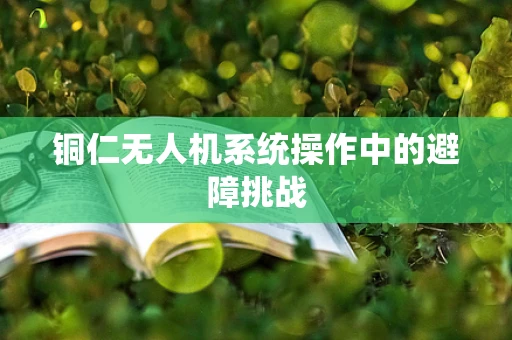 铜仁无人机系统操作中的避障挑战