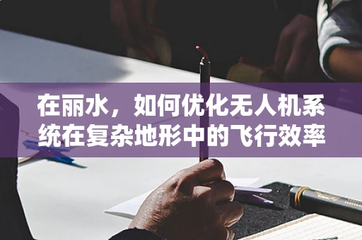 在丽水，如何优化无人机系统在复杂地形中的飞行效率？