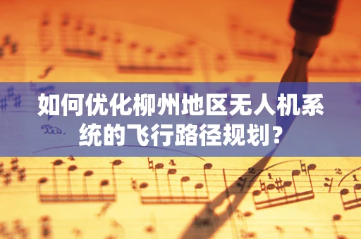 如何优化柳州地区无人机系统的飞行路径规划？